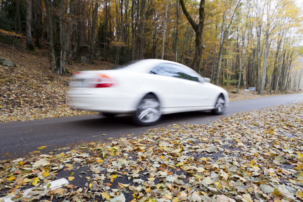 Ti trafikkdødsfall i september