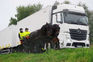 En hest er også et kjøretøy