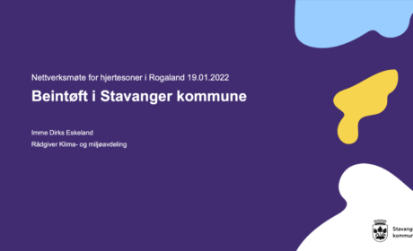 Beintøft i Stavanger 2022